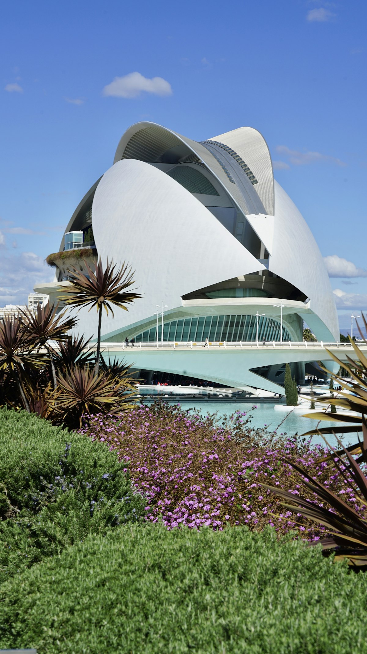 City of Arts and Sciences in Valencia, a star stop on a cruise layover